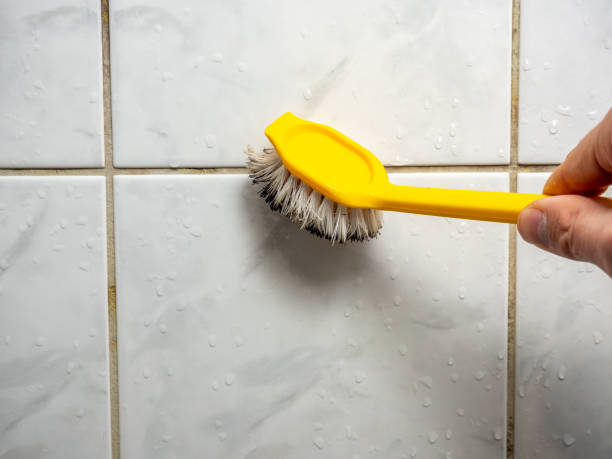Best Mold Testing  in Harbison Nyon, CA