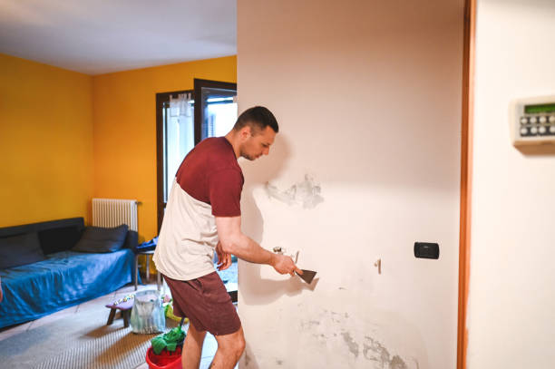 Best Best Mold Removal Companies  in Harbison Nyon, CA